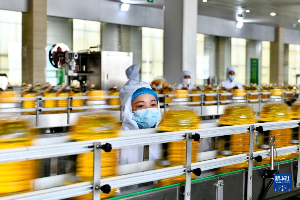 金猴爷老虎机下分